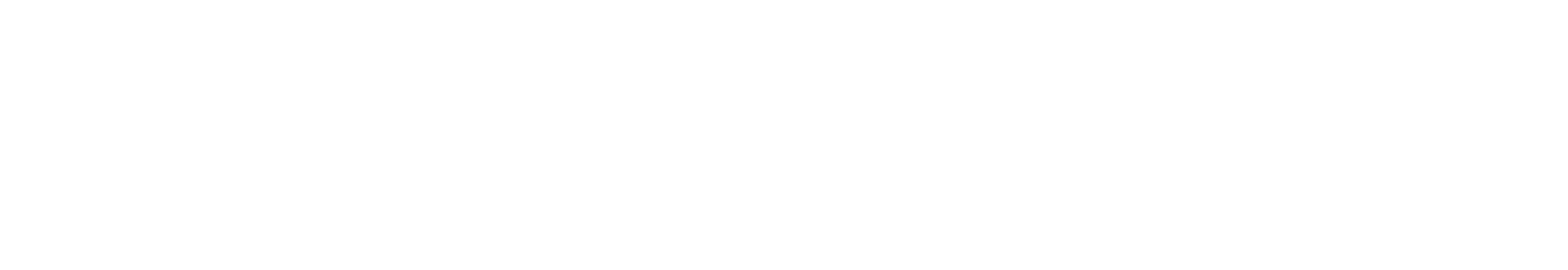Data Lawyer